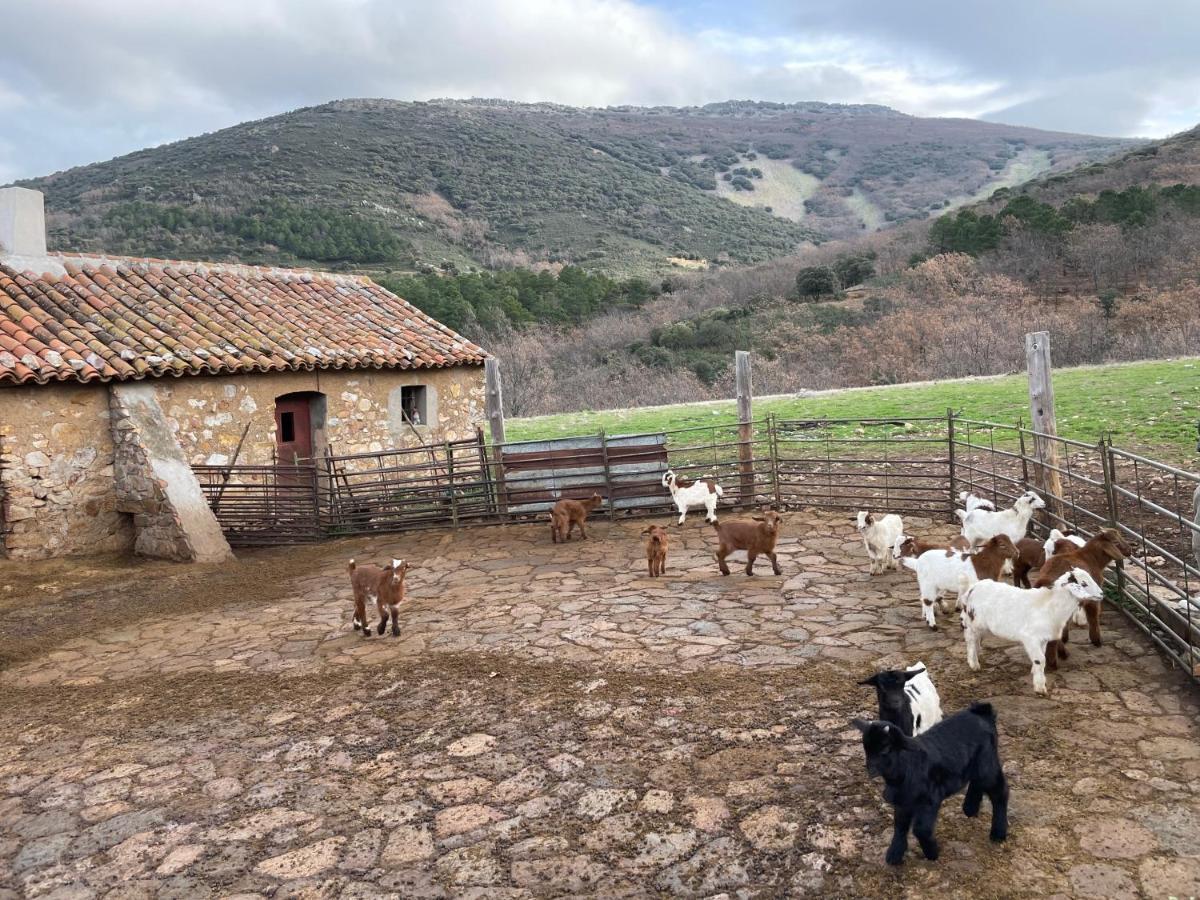 Casa Rural Las Lanchas Hontanar Kültér fotó